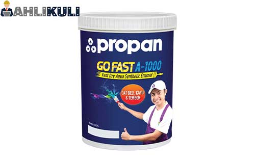 Propan Go Fast A 1000
